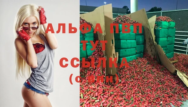 PSILOCYBIN Беломорск