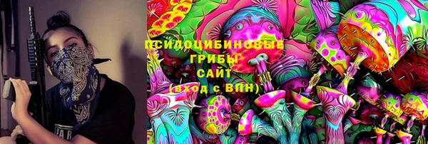 PSILOCYBIN Беломорск