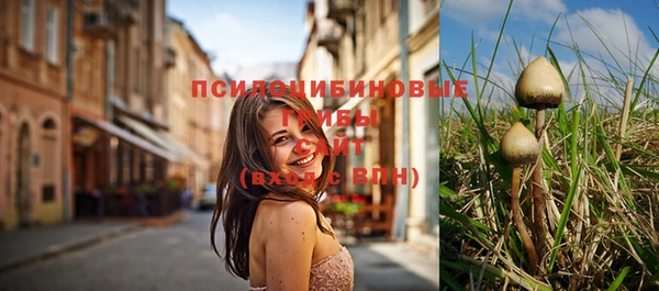 PSILOCYBIN Беломорск