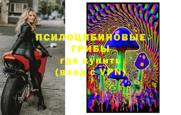 PSILOCYBIN Беломорск