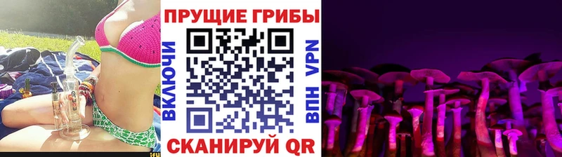 Псилоцибиновые грибы MAGIC MUSHROOMS  цена наркотик  Новотитаровская 